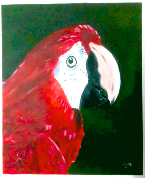 Red Parrot - Oil Painting