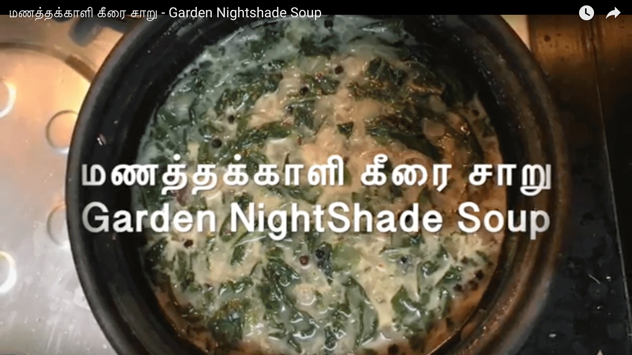 Garden Nightshade